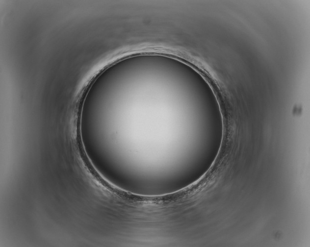 X0000095911504200801111220