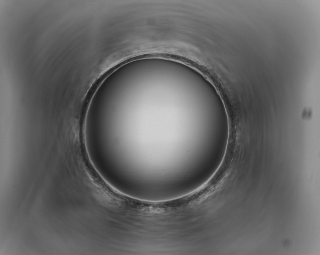 X0000095911505200801111220