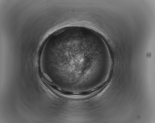 X0000095911506200801111220