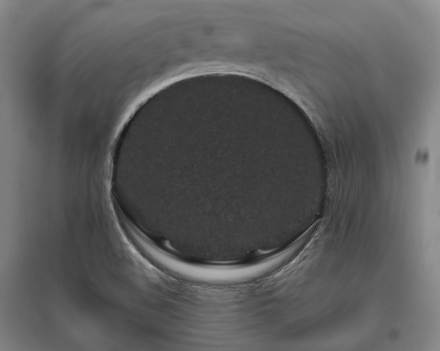 X0000095911508200801111220