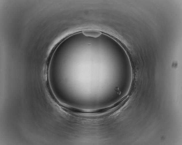 X0000095911510200801111220