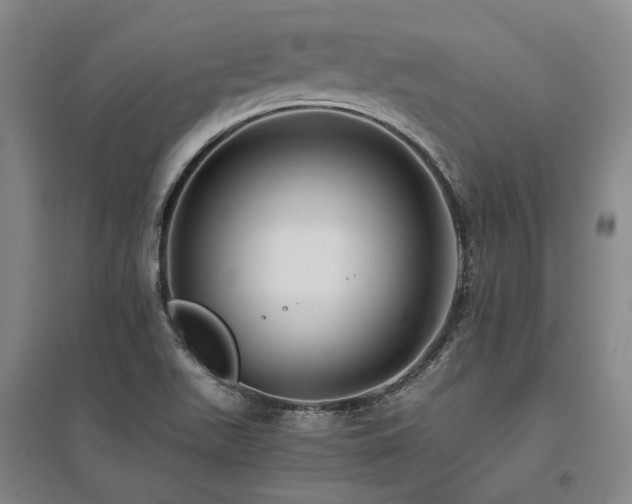 X0000095911511200801111220