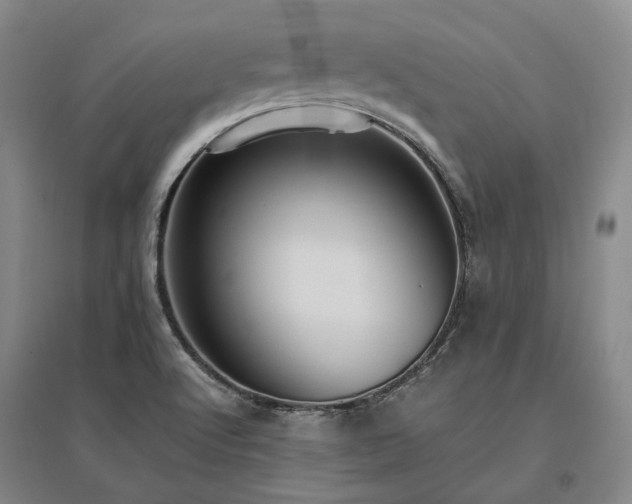X0000095911512200801111221