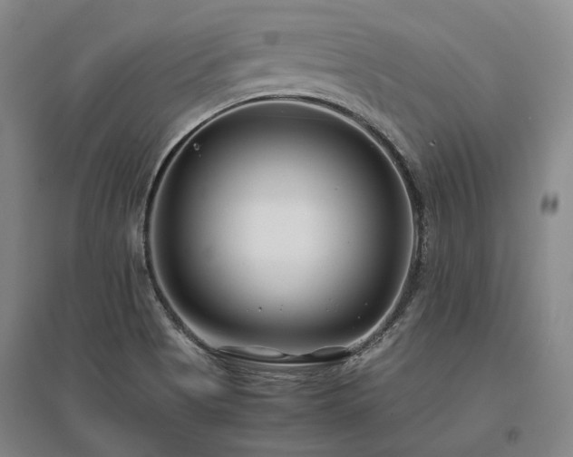 X0000095911513200801111221
