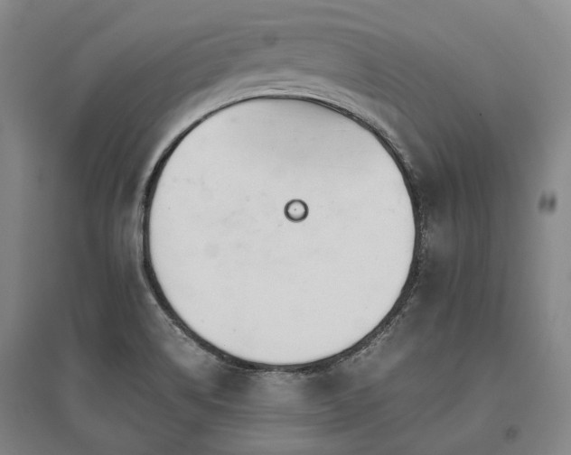 X0000095911514200801111221