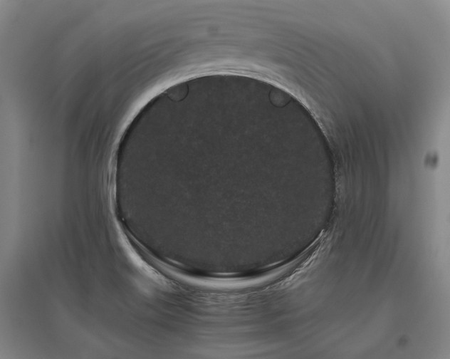 X0000095911515200801111221