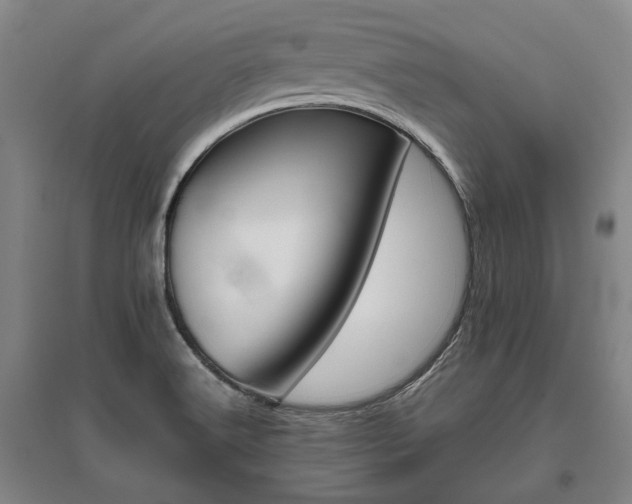 X0000095911516200801111221