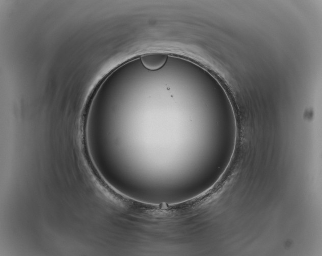 X0000095911517200801111221