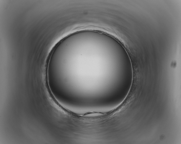 X0000095911518200801111221