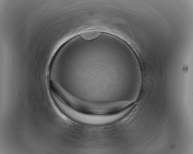 X0000095911519200801111221