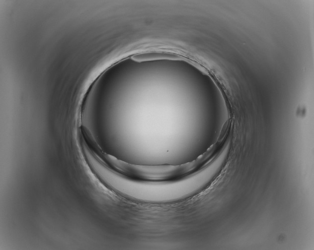 X0000095911520200801111221