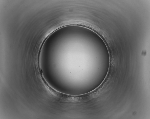 X0000095911521200801111221