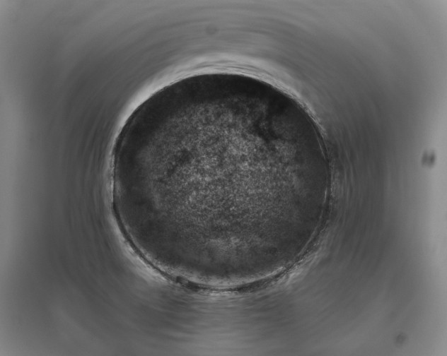 X0000095911522200801111221