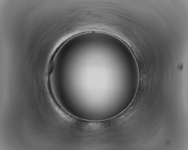 X0000095911523200801111221