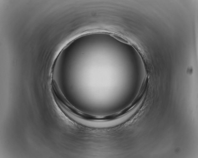 X0000095911524200801111221