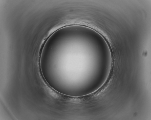 X0000095911525200801111221