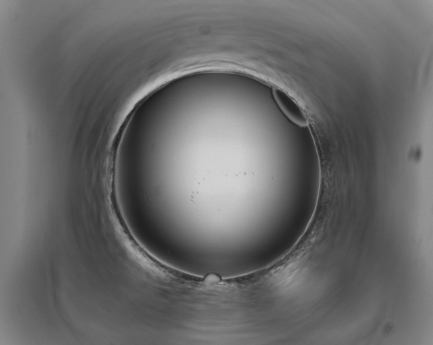 X0000095911526200801111221