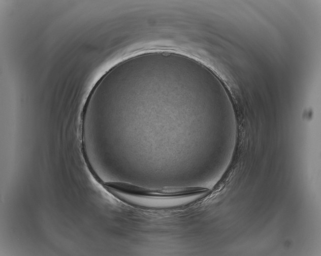 X0000095911527200801111221