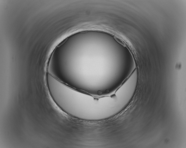 X0000095911528200801111221