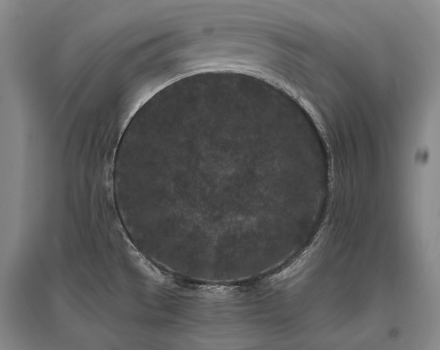 X0000095911529200801111221