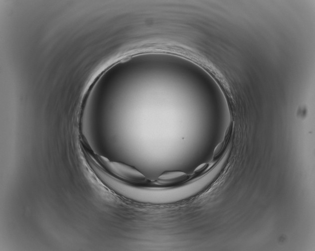 X0000095911530200801111221