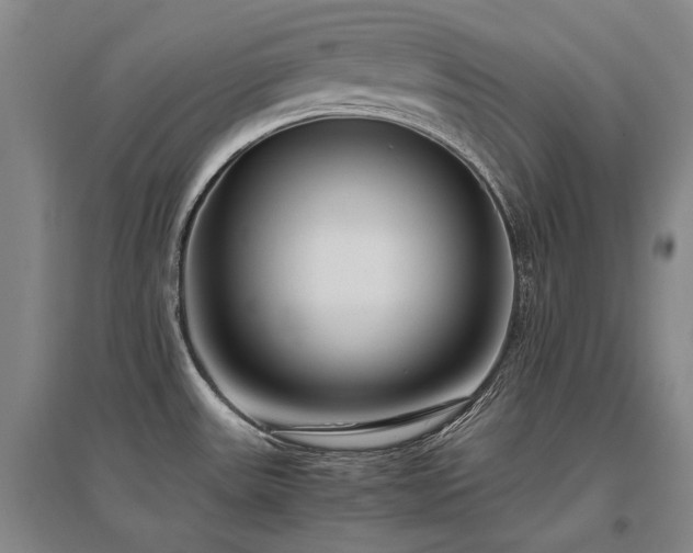 X0000095911531200801111221