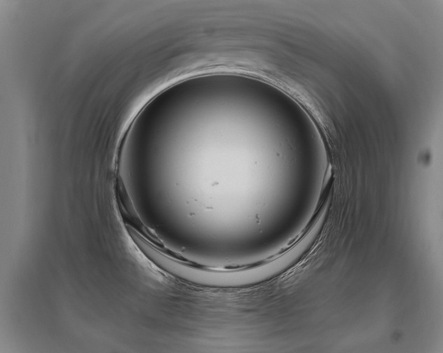 X0000095911532200801111221