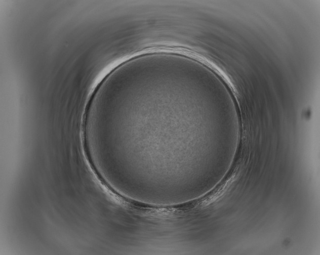X0000095911533200801111221