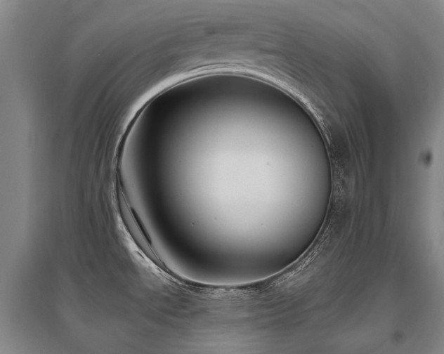X0000095911534200801111221
