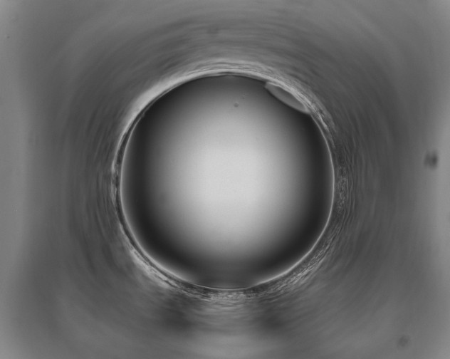 X0000095911535200801111221