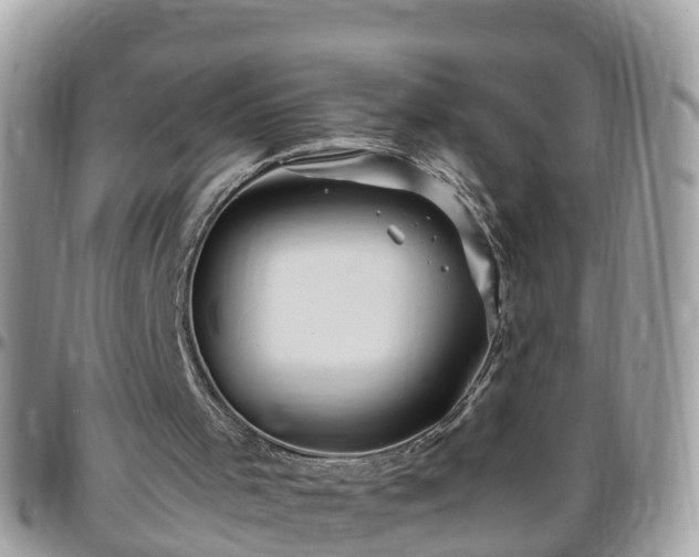 X0000095910001200801181406