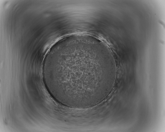 X0000095910002200801181406