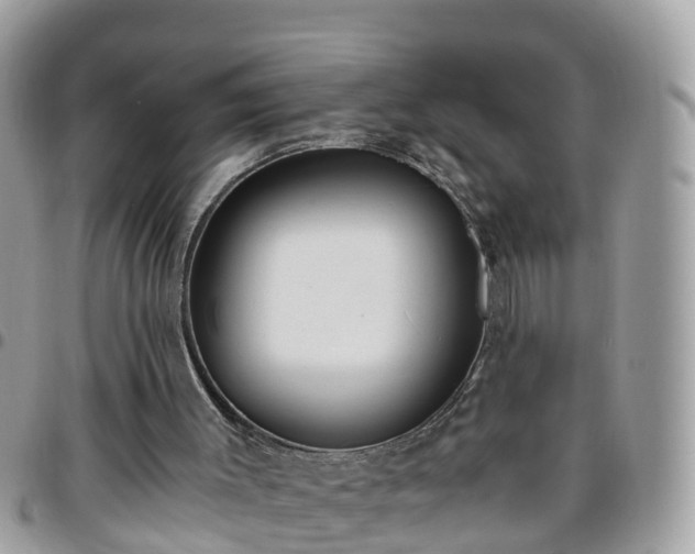 X0000095910003200801181406