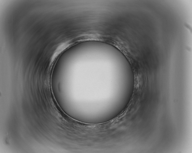 X0000095910004200801181406