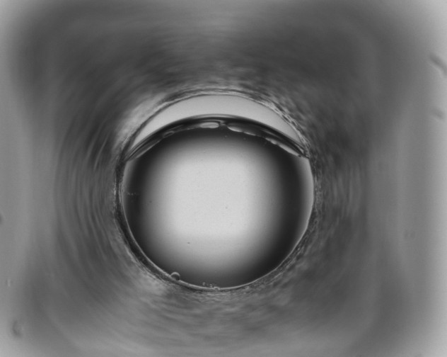 X0000095910005200801181406