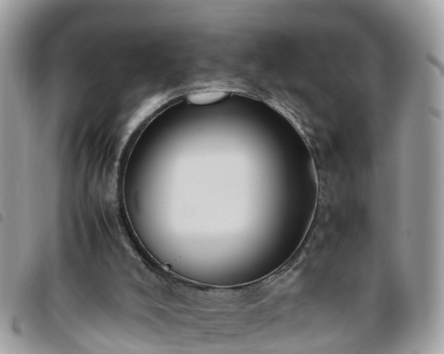 X0000095910008200801181406