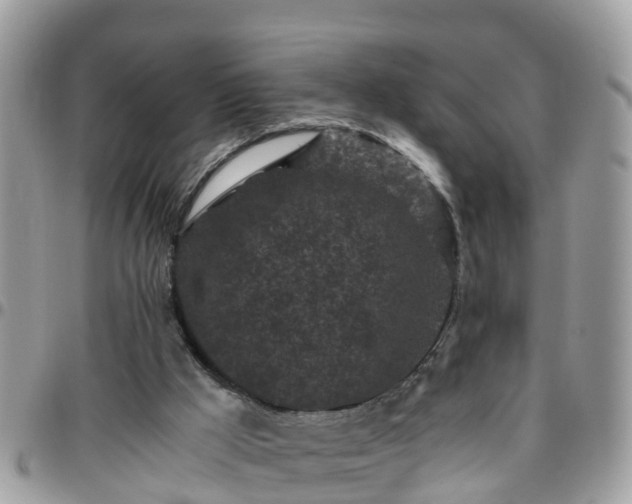 X0000095910009200801181406