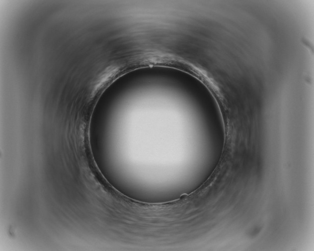 X0000095910010200801181406