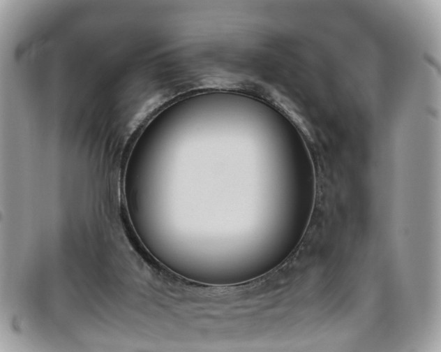 X0000095910011200801181406