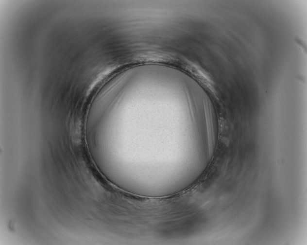 X0000095910012200801181406