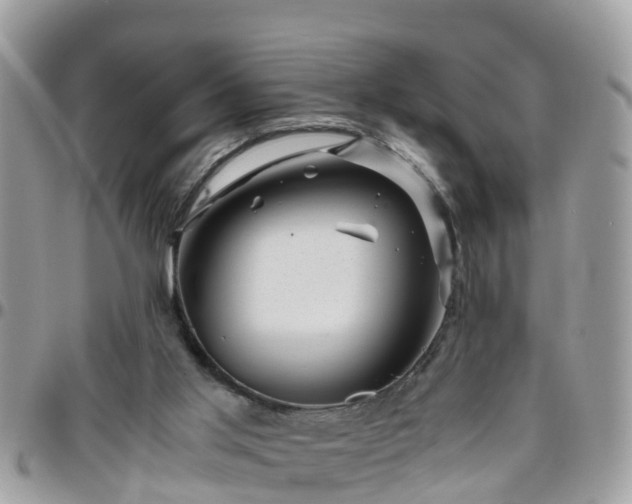 X0000095910013200801181405