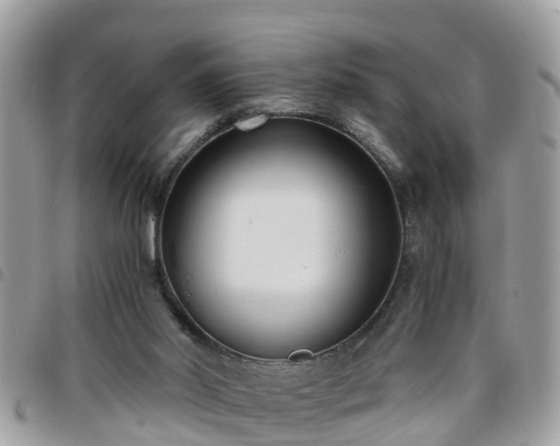 X0000095910014200801181405