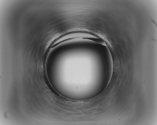 X0000095910015200801181405