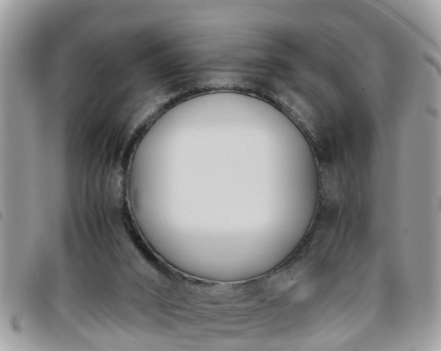 X0000095910016200801181405