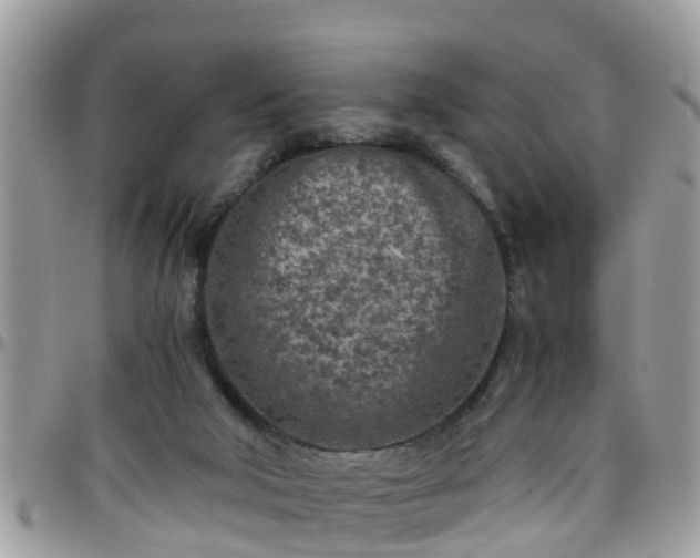 X0000095910018200801181405