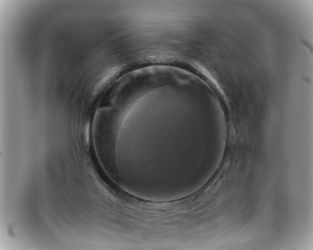 X0000095910019200801181405