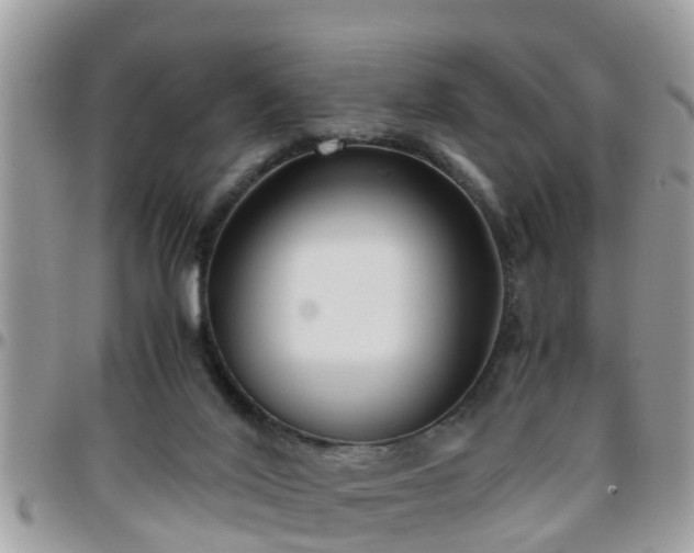 X0000095910020200801181405