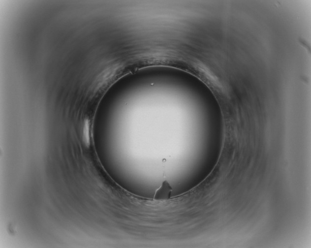 X0000095910022200801181405