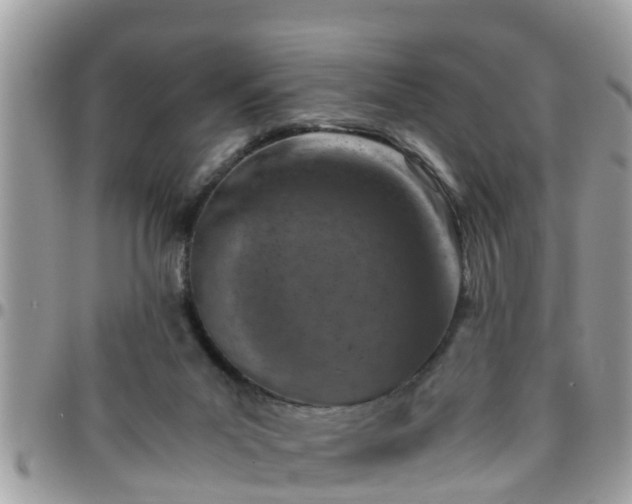 X0000095910023200801181405