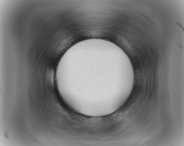 X0000095910024200801181405